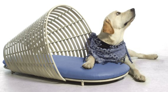 [operetta_pet_lounge_01.jpg]