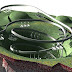 Swiss pavilion for Shanghai - Expo - 2010