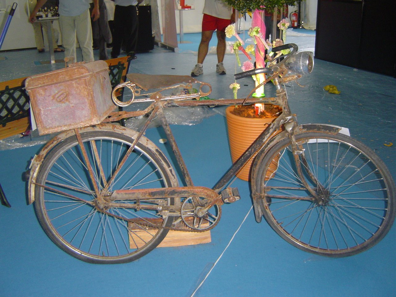 [DSC04541.JPG]