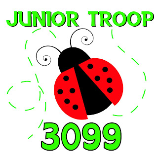 troop3099.jpg