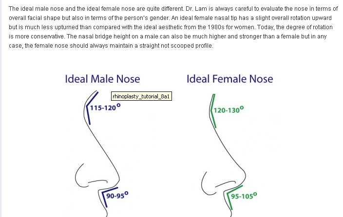 Nose Revision Surgery and Surgeons: The Nose Tip: Dimensional Analysis 101