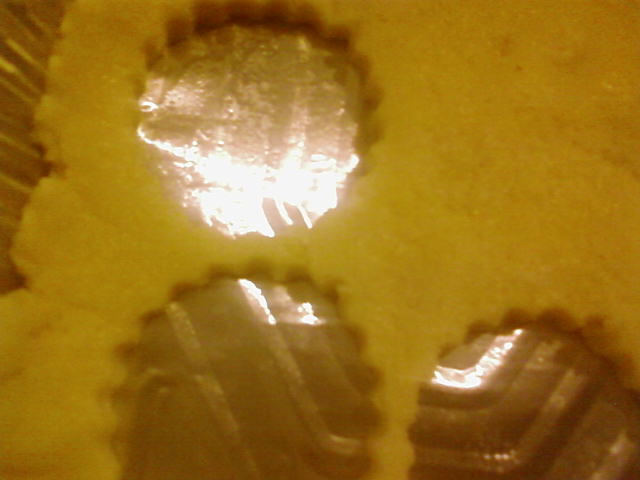 [Fotografie-0042.jpg]