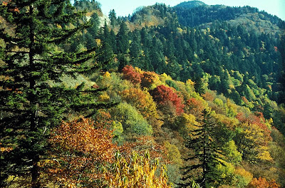 Great Smoky Mountains