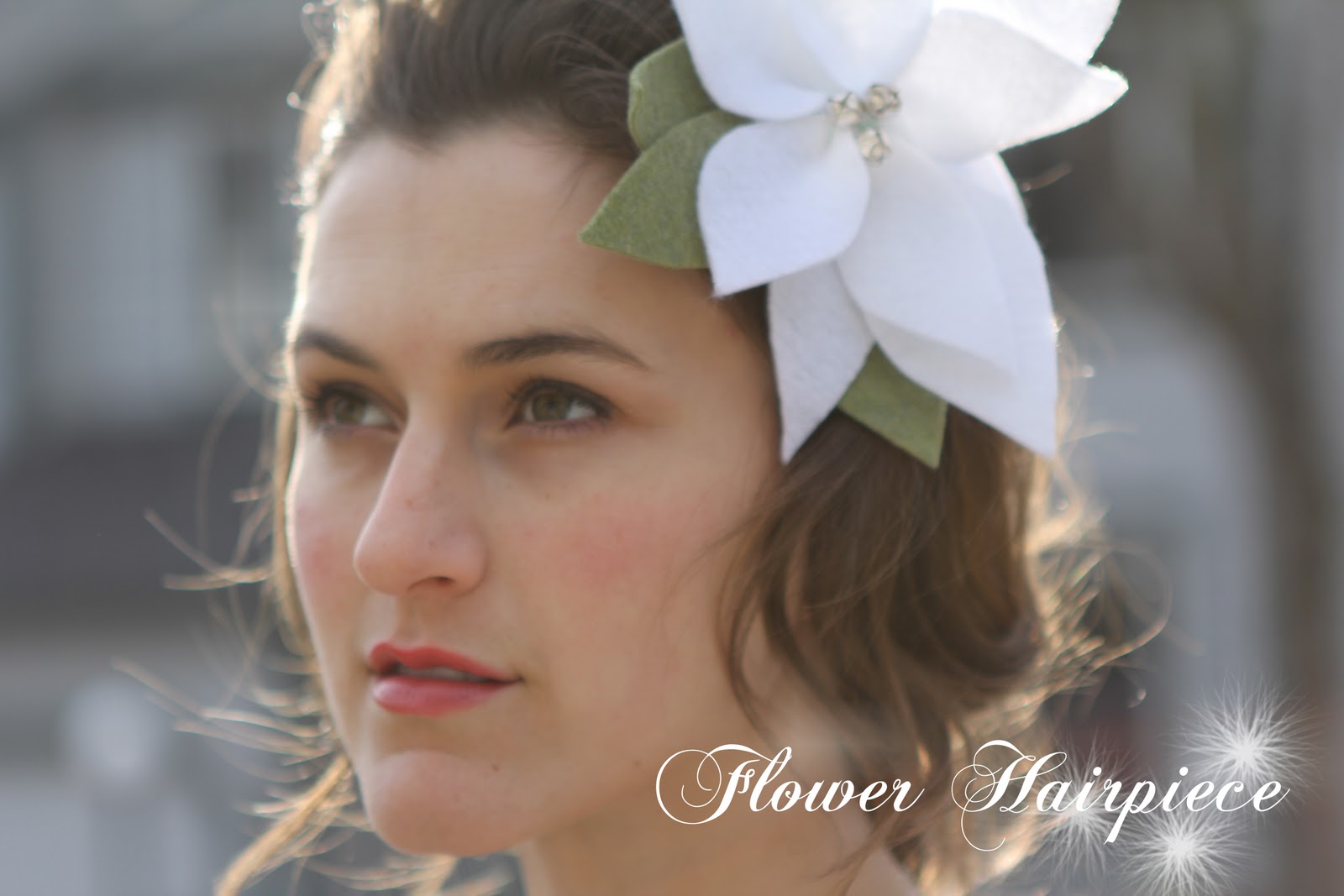 коледна звезда