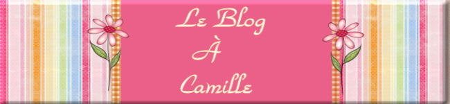 Le blog a Camille