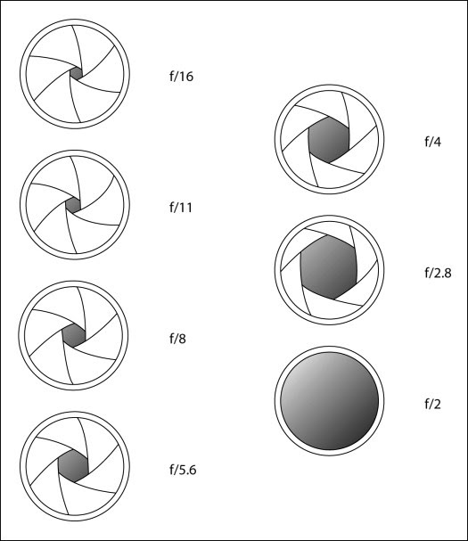 Pratique de la photographie N&B LE DIAPHRAGME