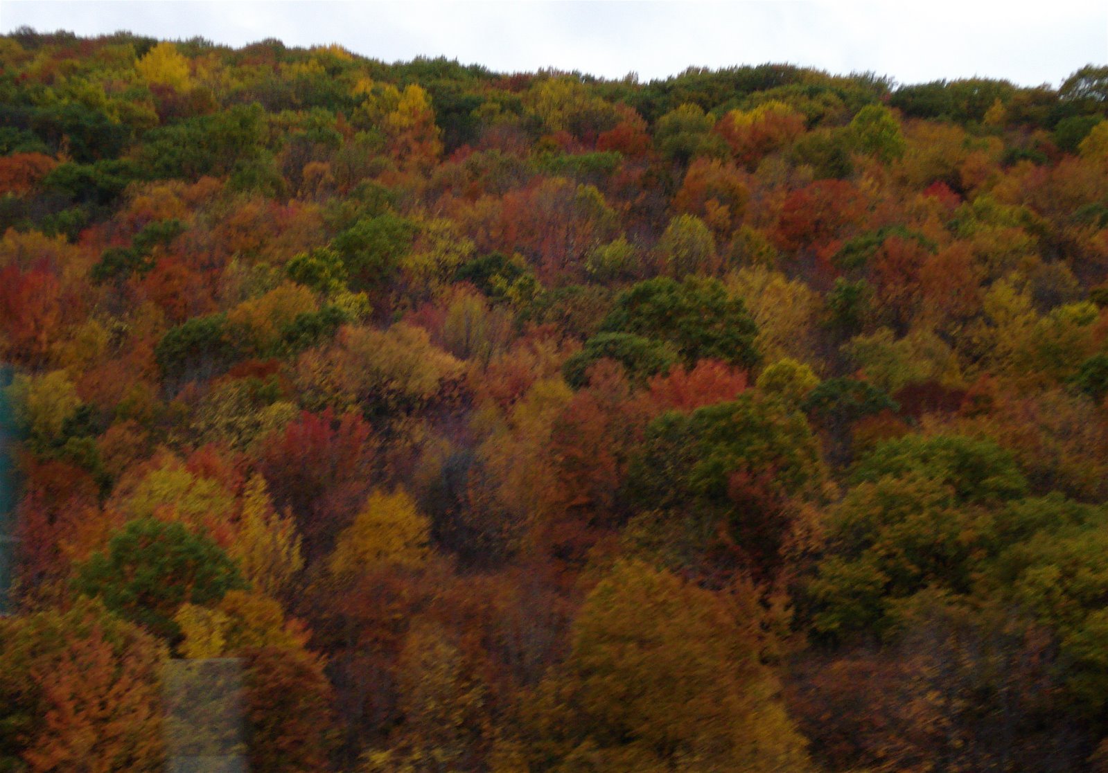 [fall..JPG]