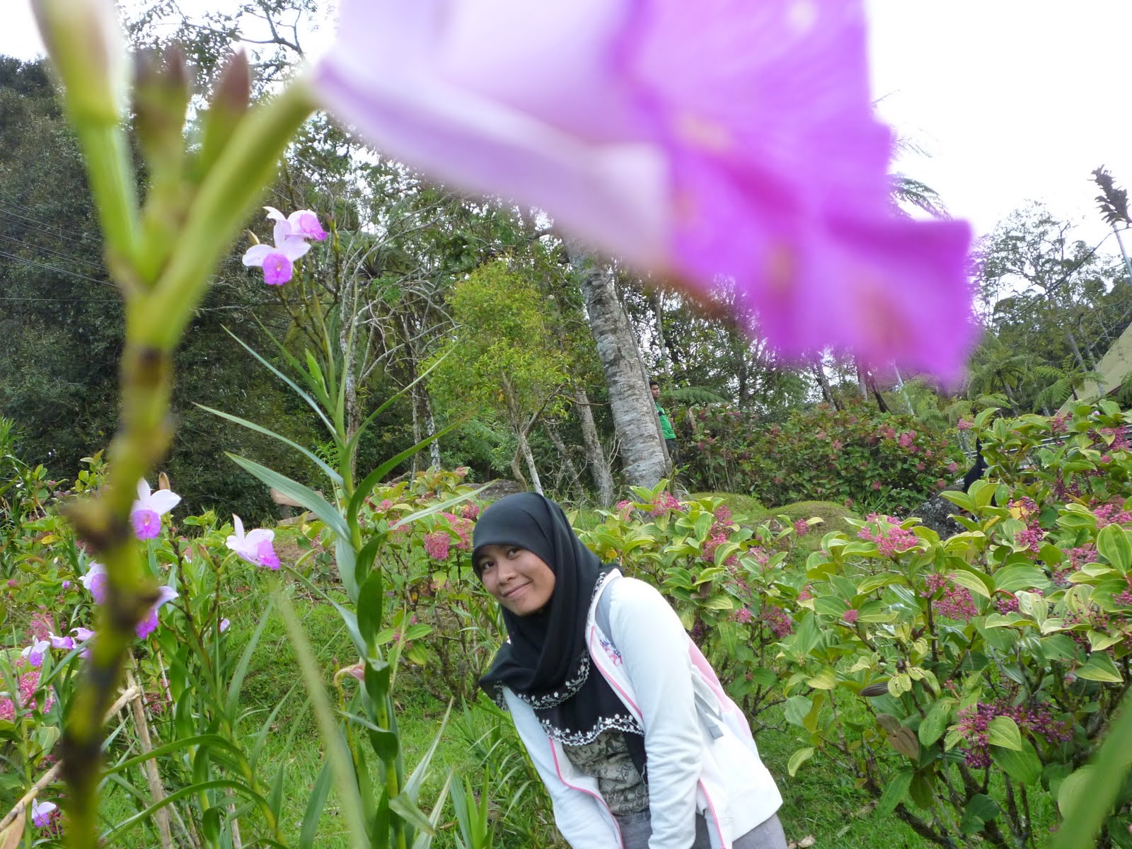 Simple life..Simple stories..