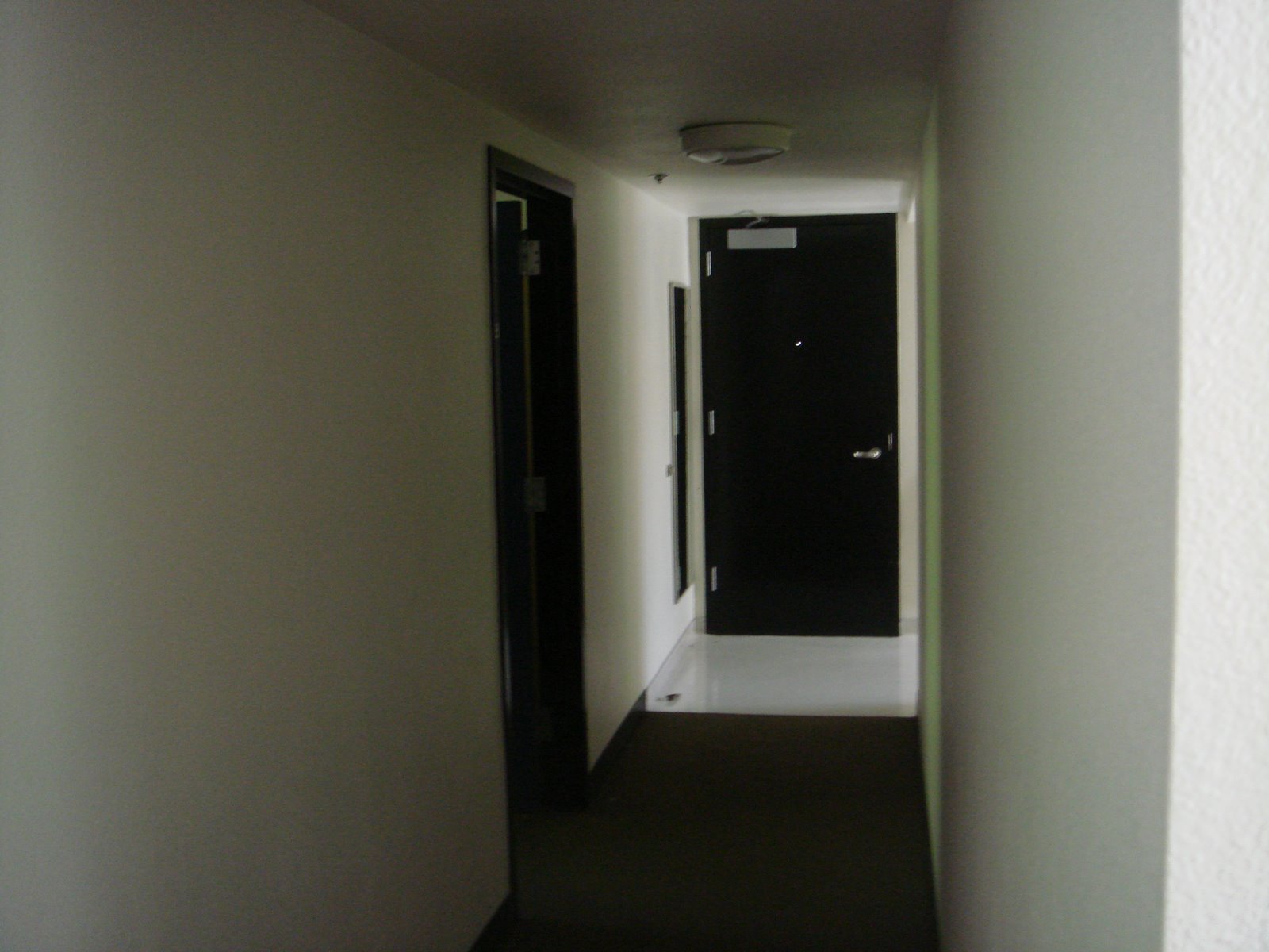 [DSC00083.JPG]