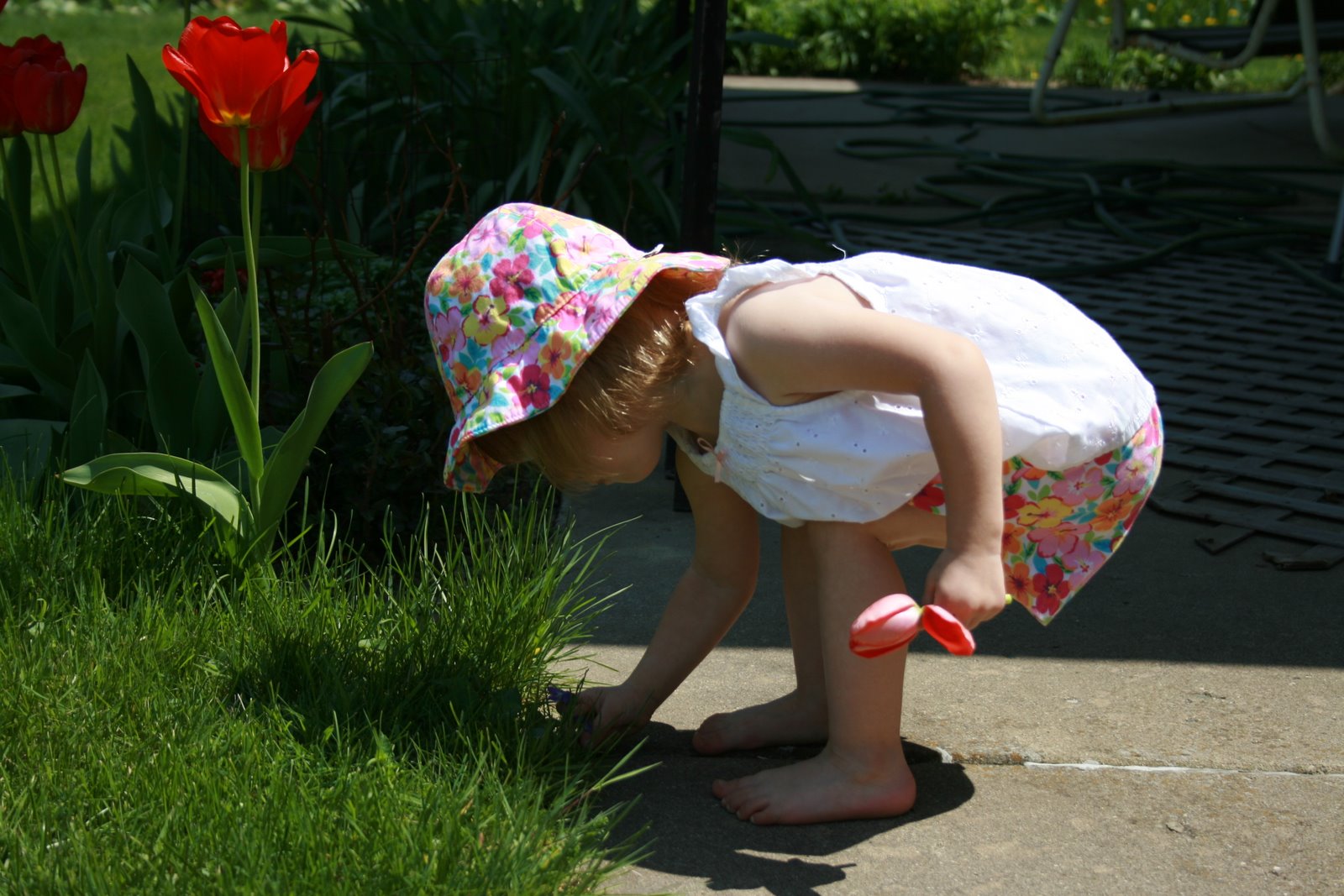[IMG_1381.JPG]