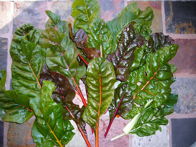 Swiss chard from the Maryland Garden of Two Green Acres