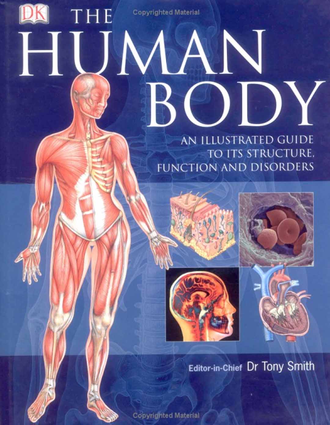 [Human+Body1.jpg]