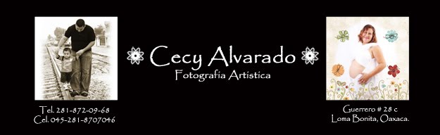 CECY ALVARADO