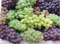 [uvas.jpg]