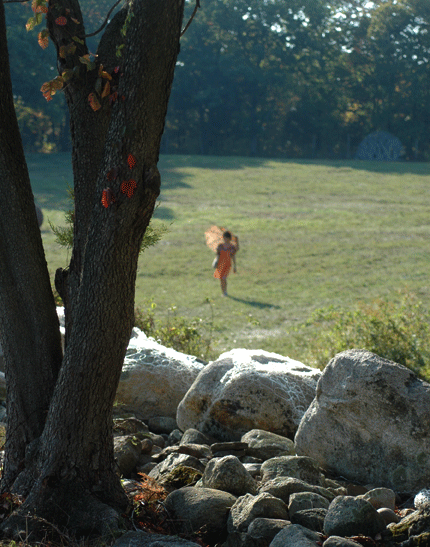 enjoy a beautiful peaceful walk