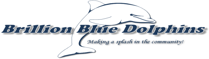 Brillion Blue Dolphins