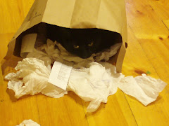 "Cat in the Bag"