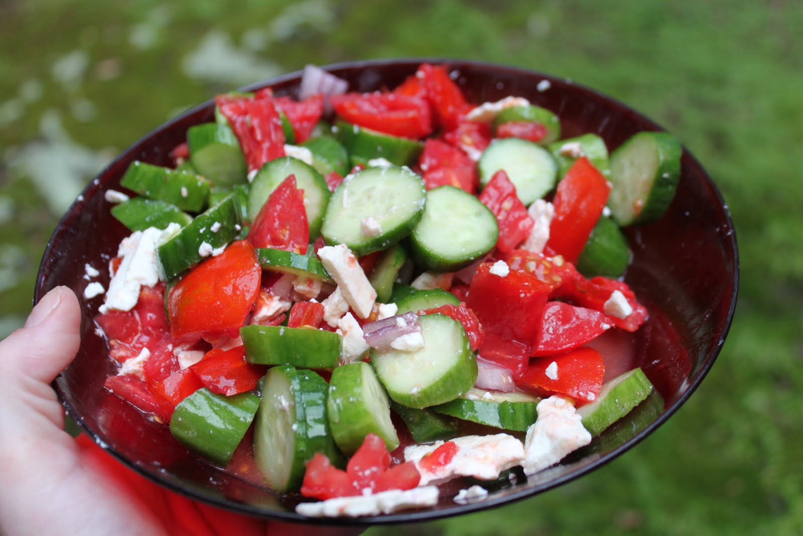 external image IMG_0272.JPG