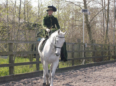 First side saddle costume class 2010