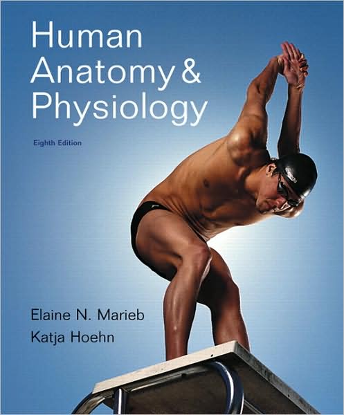 Essentials of Human Anatomy & Physiology,.