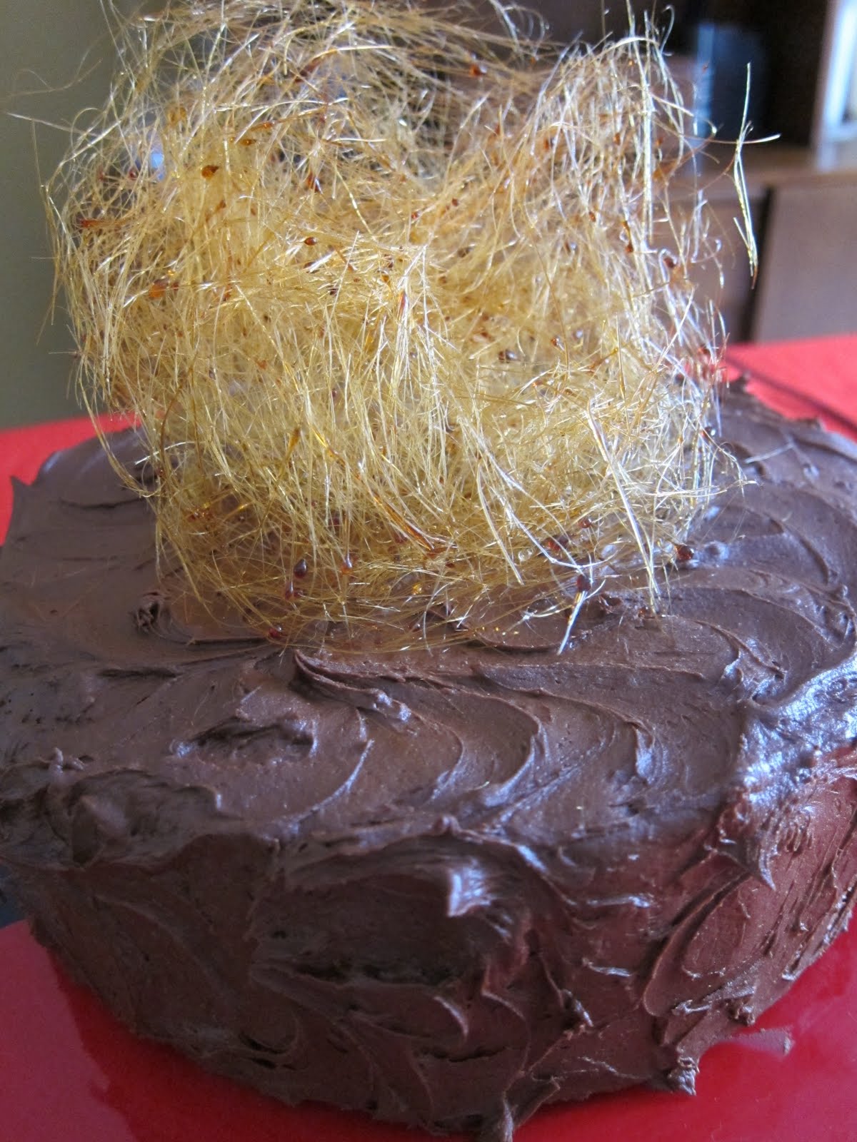 cakengineer Spun Sugar!