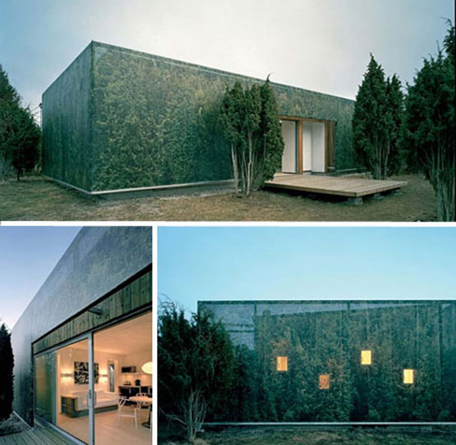 Camouflage July 2010