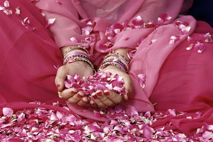 FAMILIA APORTEMOS IMÁGENES SOLO COLOR ROSA - NombresAnimados - Gabitos