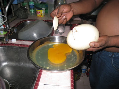 Ana Lyana S Blog C Telur Burung Unta Kasawari