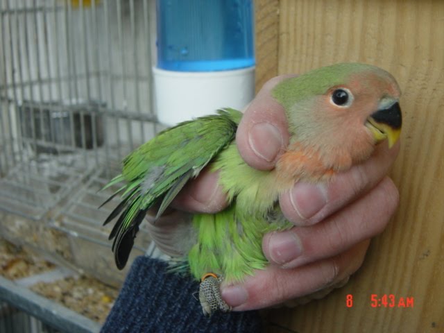 [DSC09949.JPG]