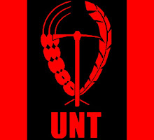 Sindicato UNT (Unión Nacional de Trabajadores) Bandera+UNT+con+s%C3%ADmbolo.