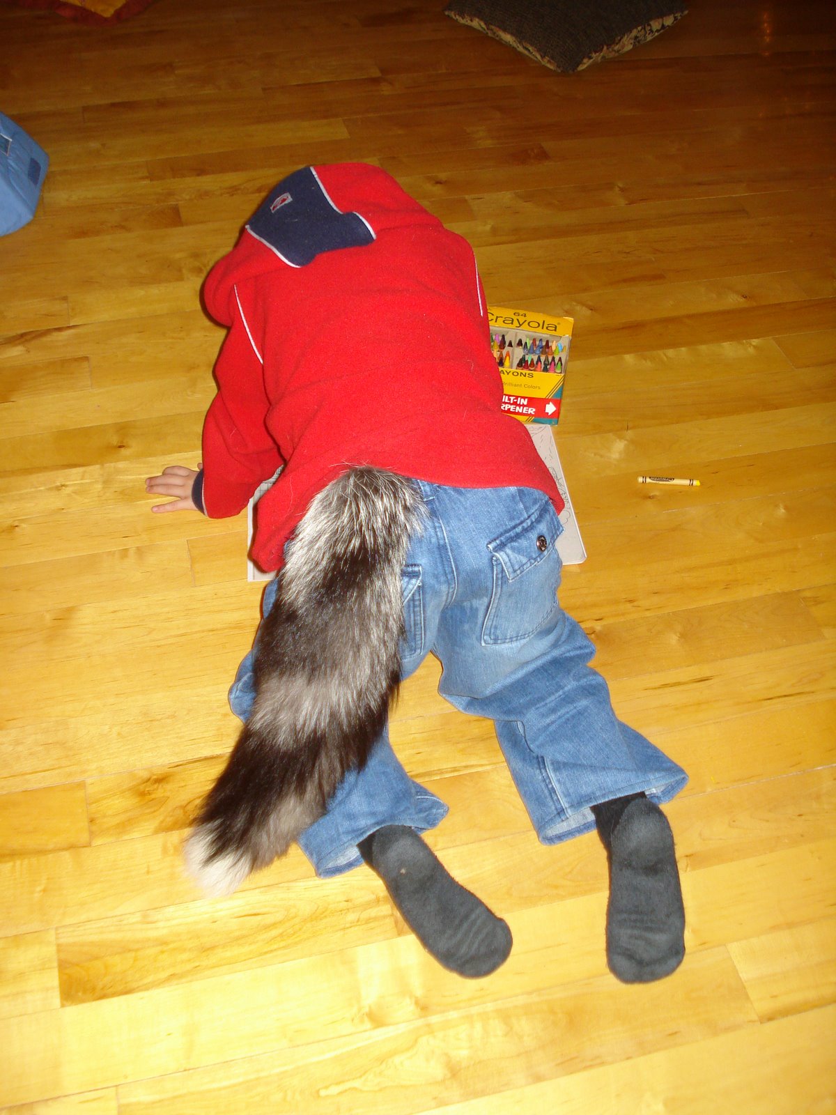 [DSC01566.JPG]