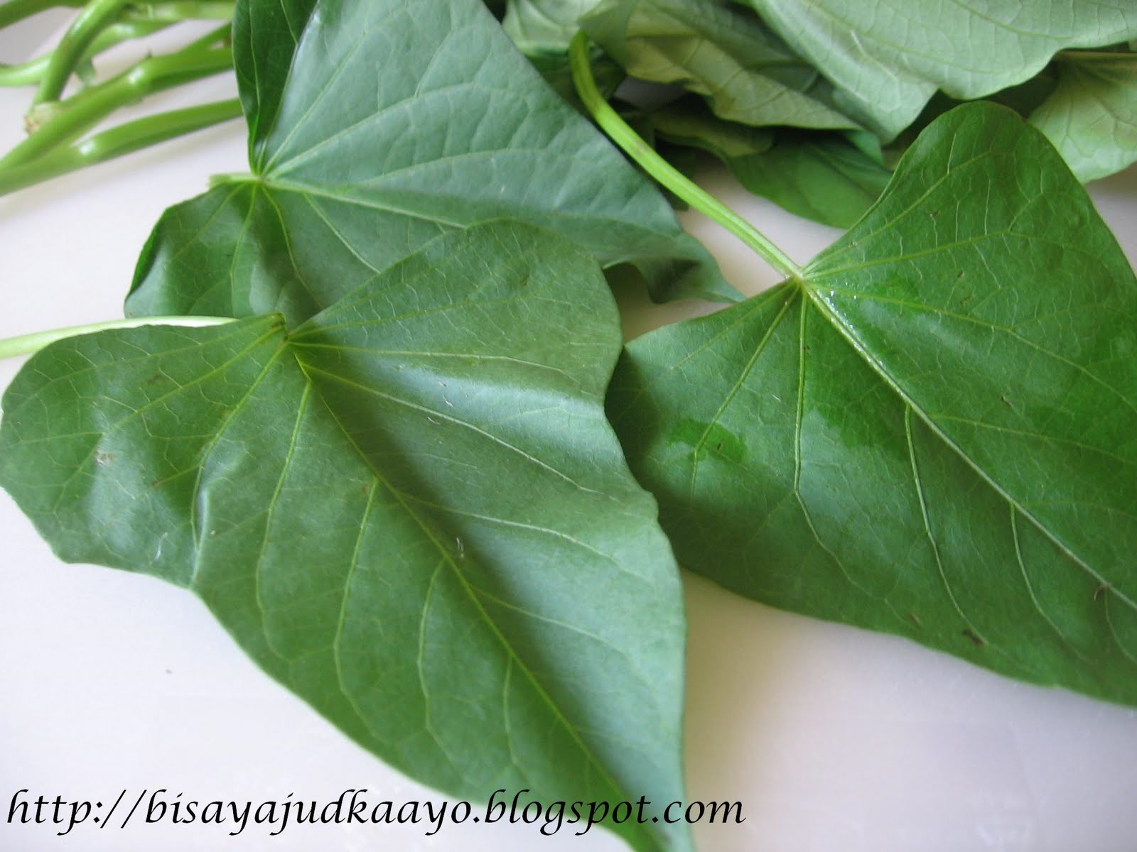 Inato lang Filipino Cuisine and More CRISPY KANGKONG