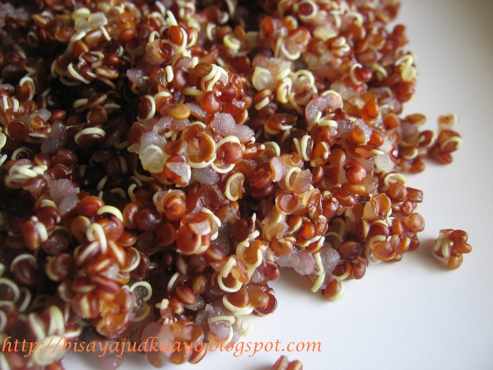 Inato lang Filipino Cuisine and More RED QUINOA BARS