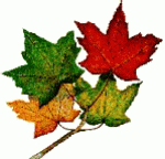 [icon044.gif]