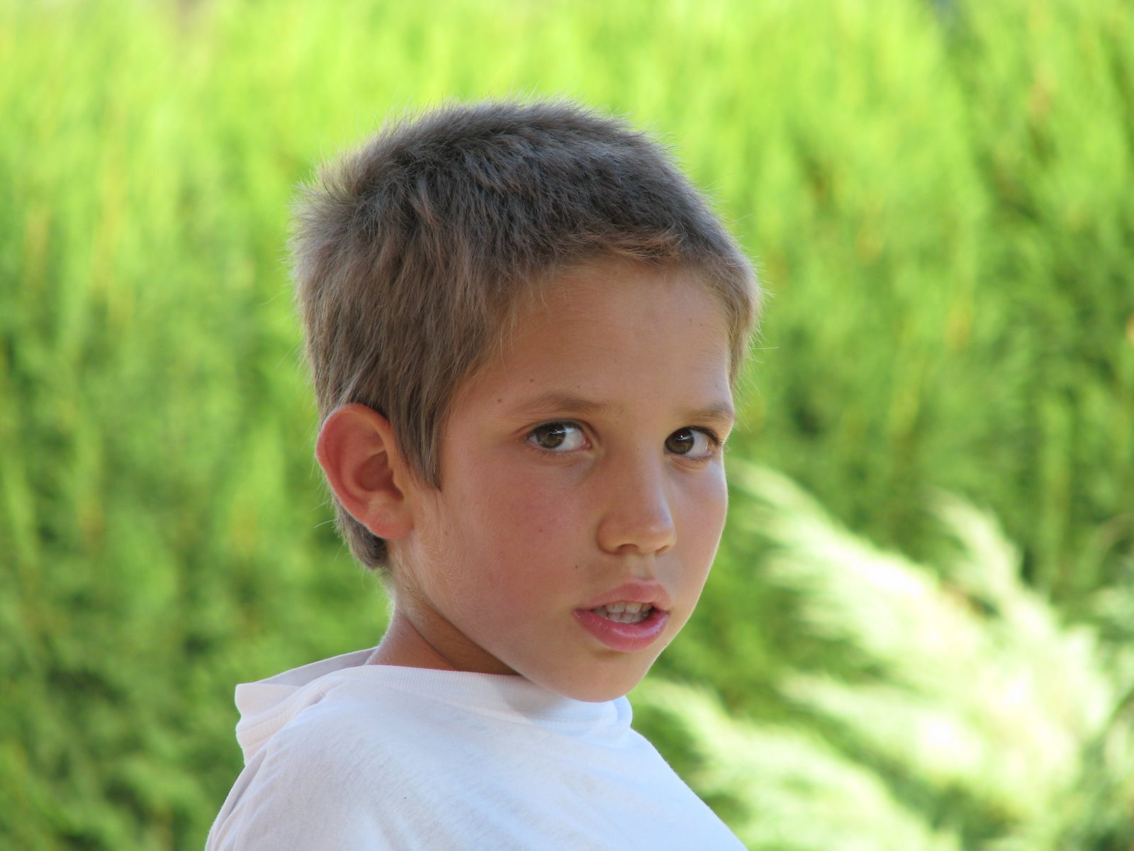 [2008+07+23+CVD+016.JPG]