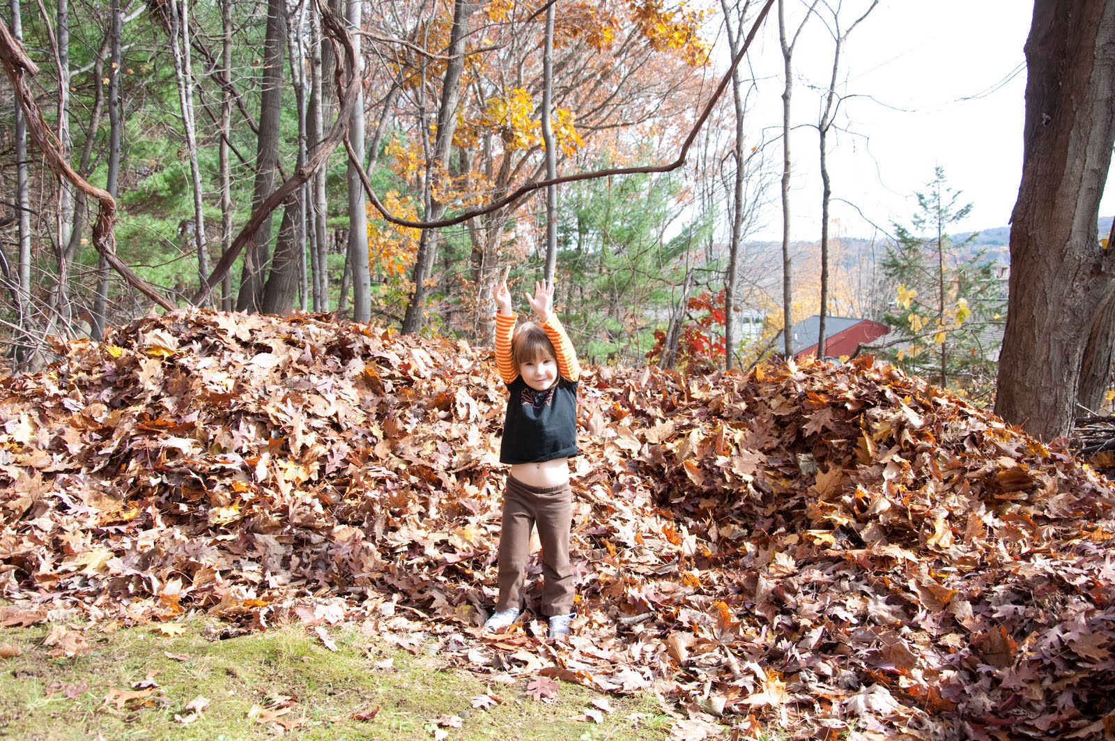 [DSC_0476.jpg]