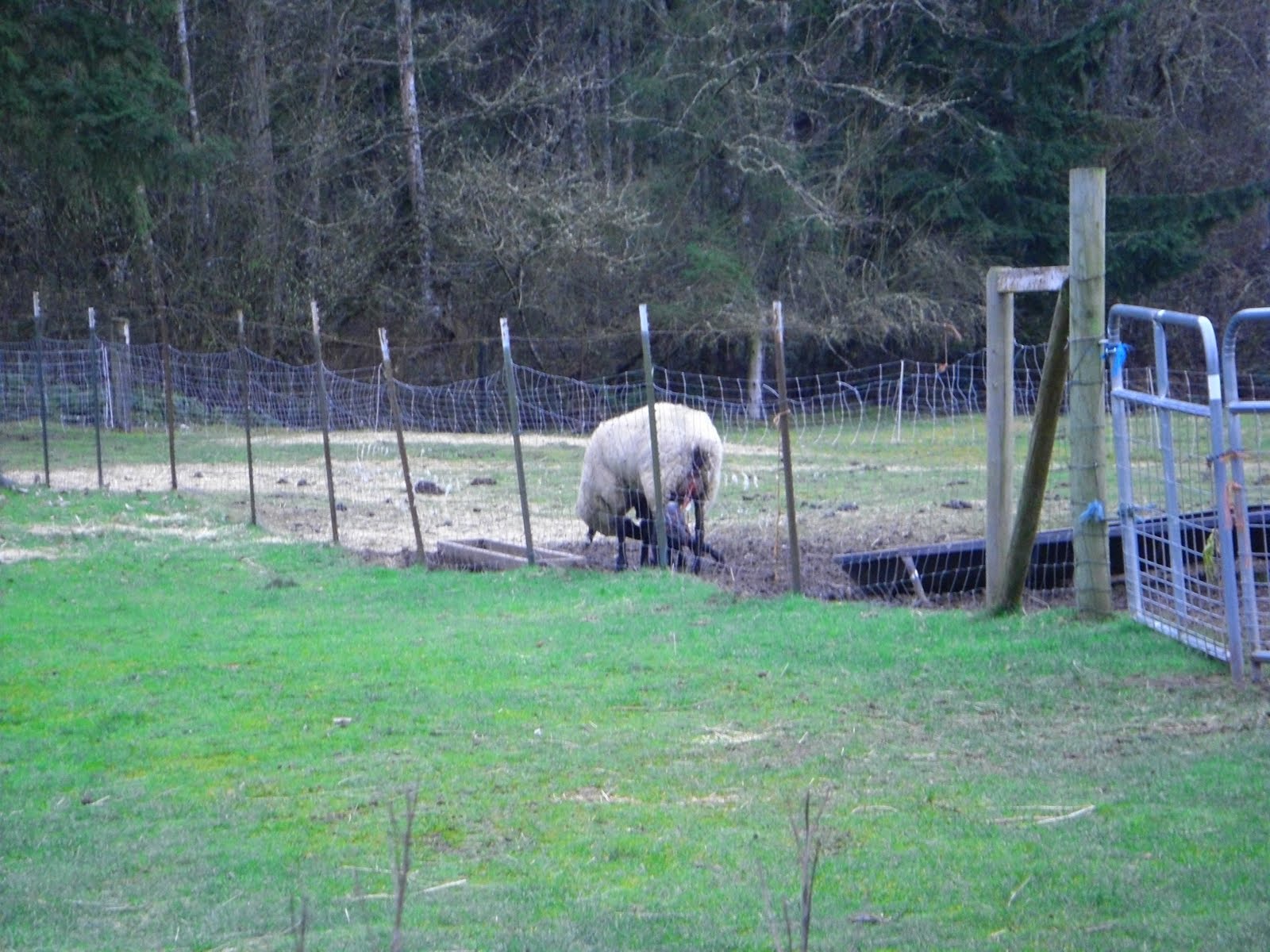 [CIMG7291_edited-1.jpg]