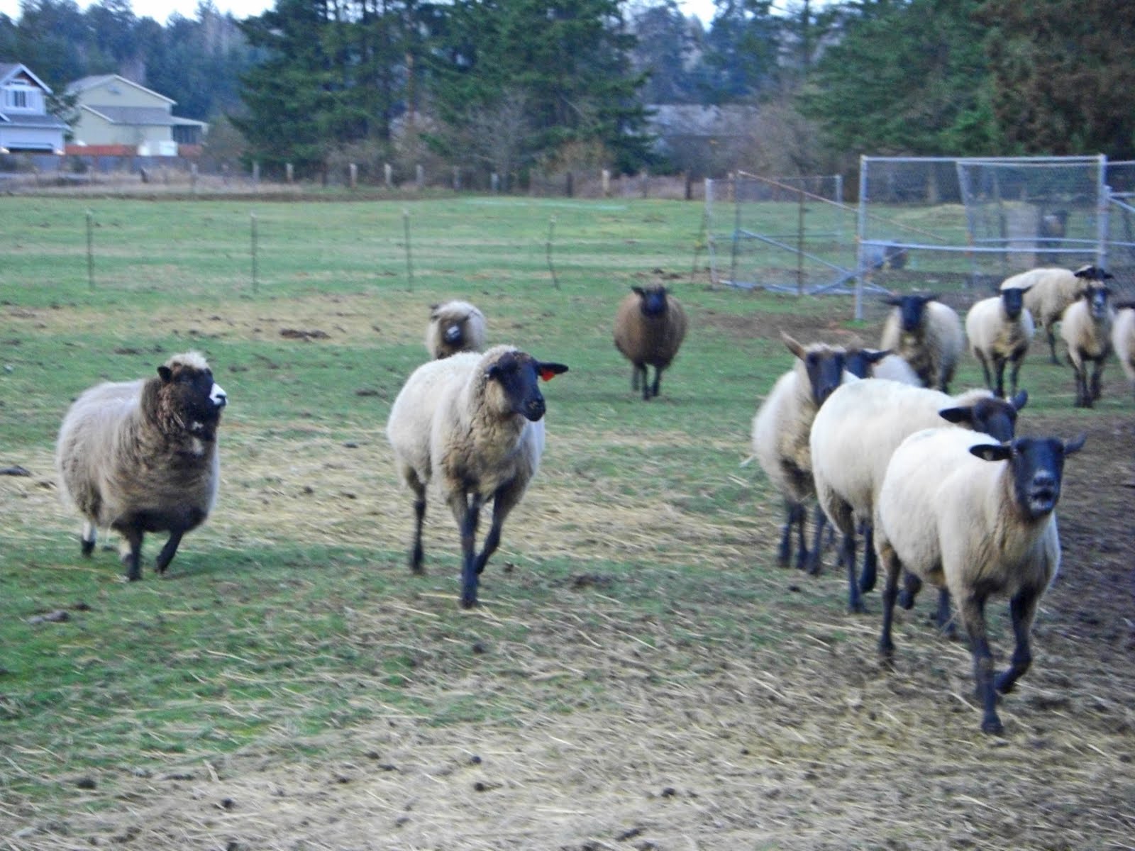 [CIMG7335_edited-1.jpg]