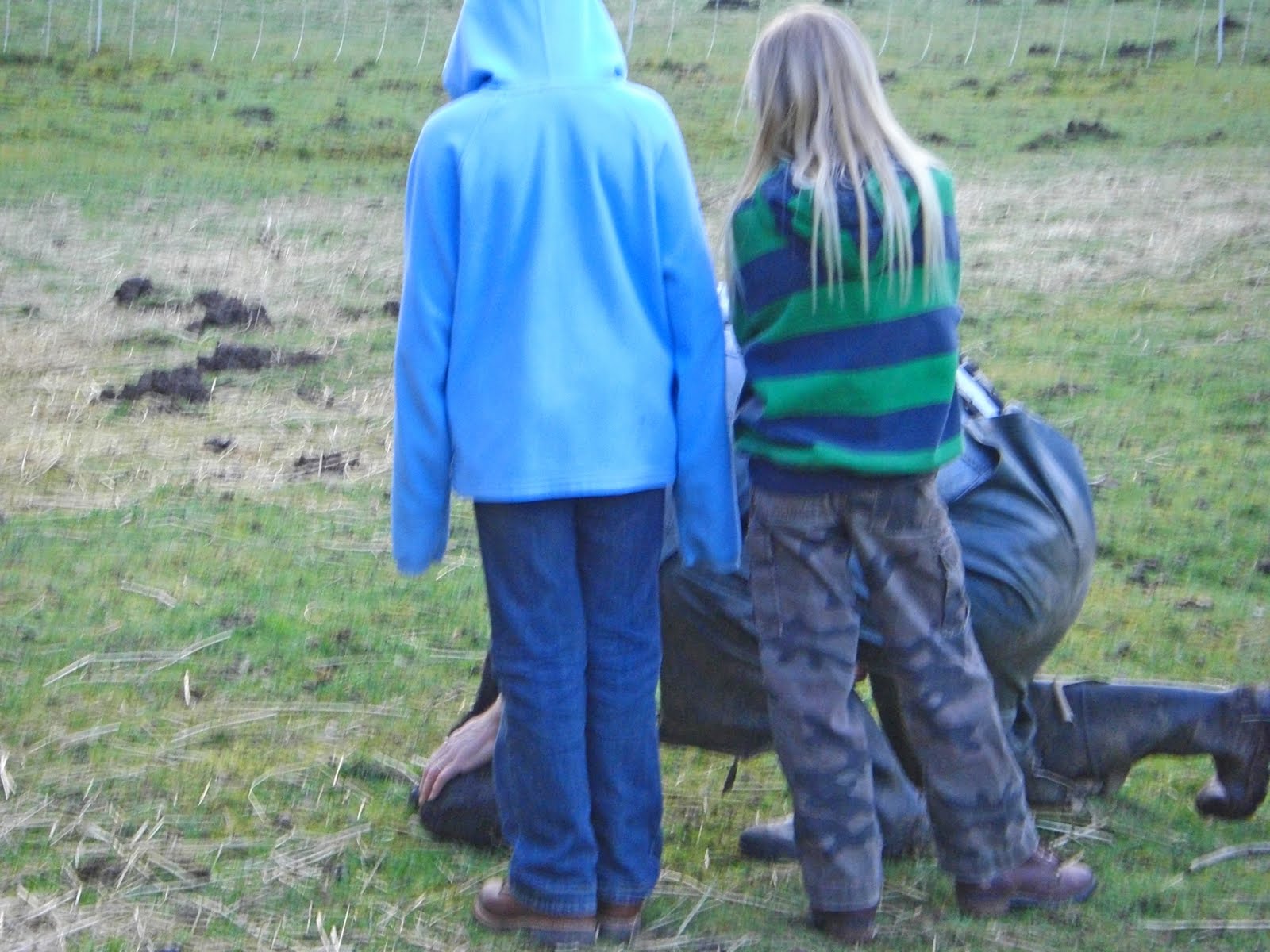 [CIMG7329_edited-1.jpg]