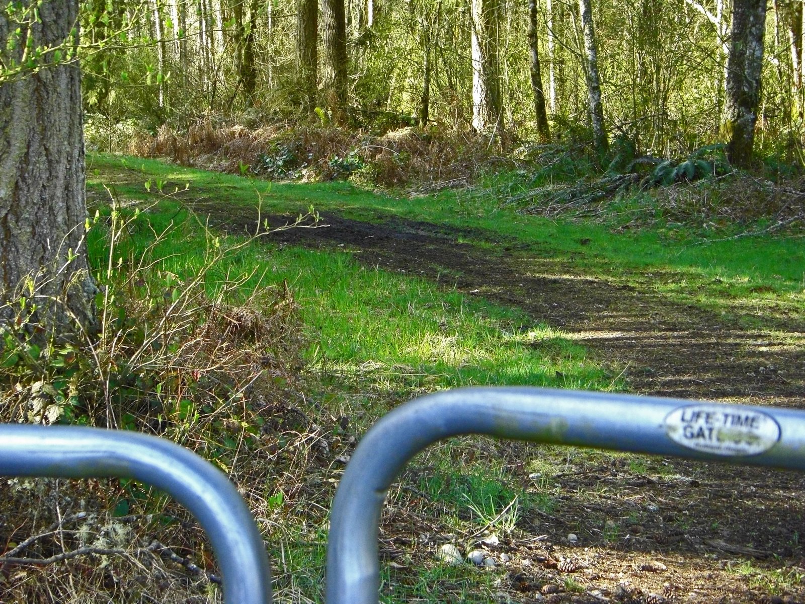 [CIMG2515_edited-1.jpg]