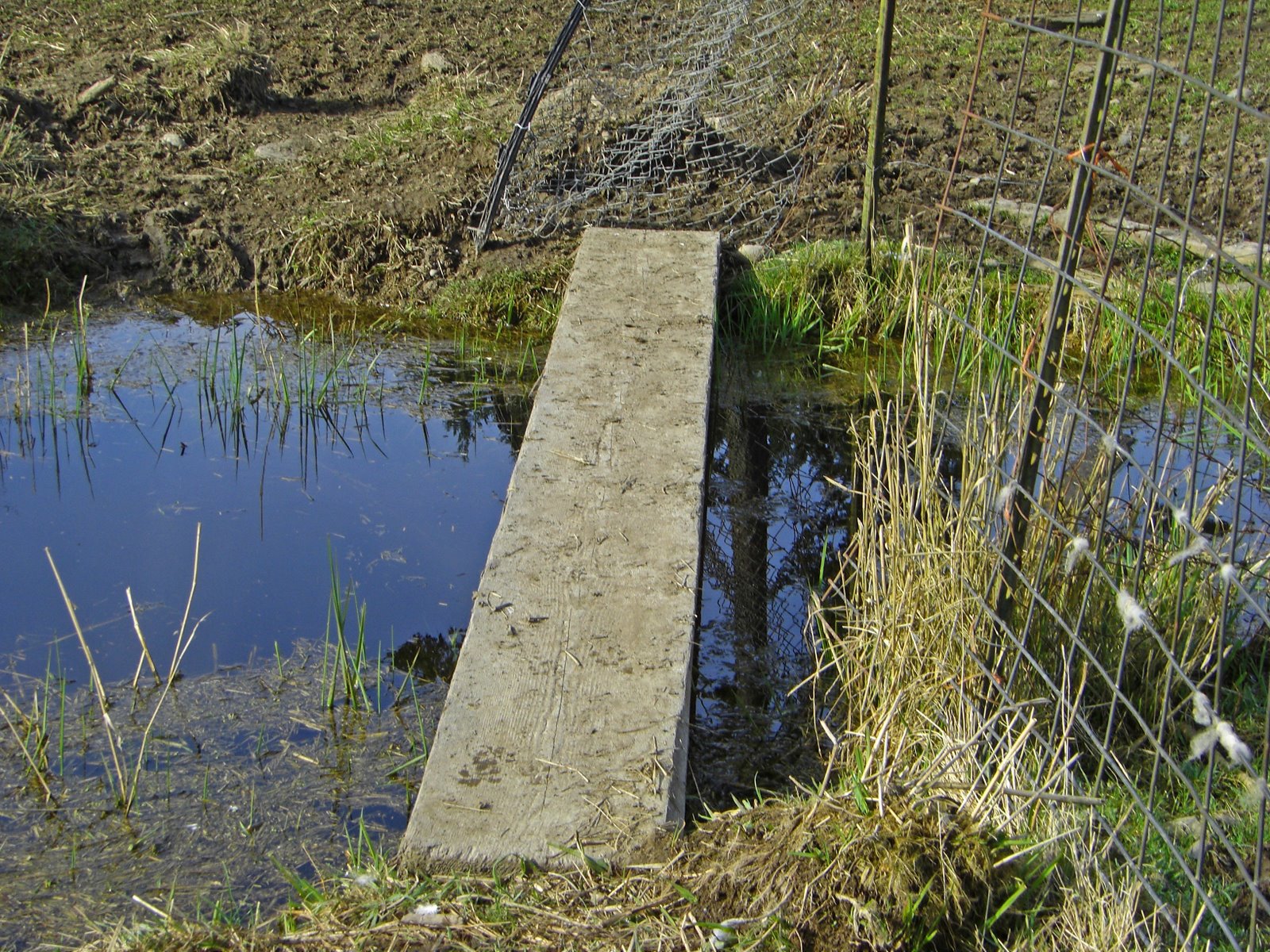 [CIMG2503_edited-1.jpg]