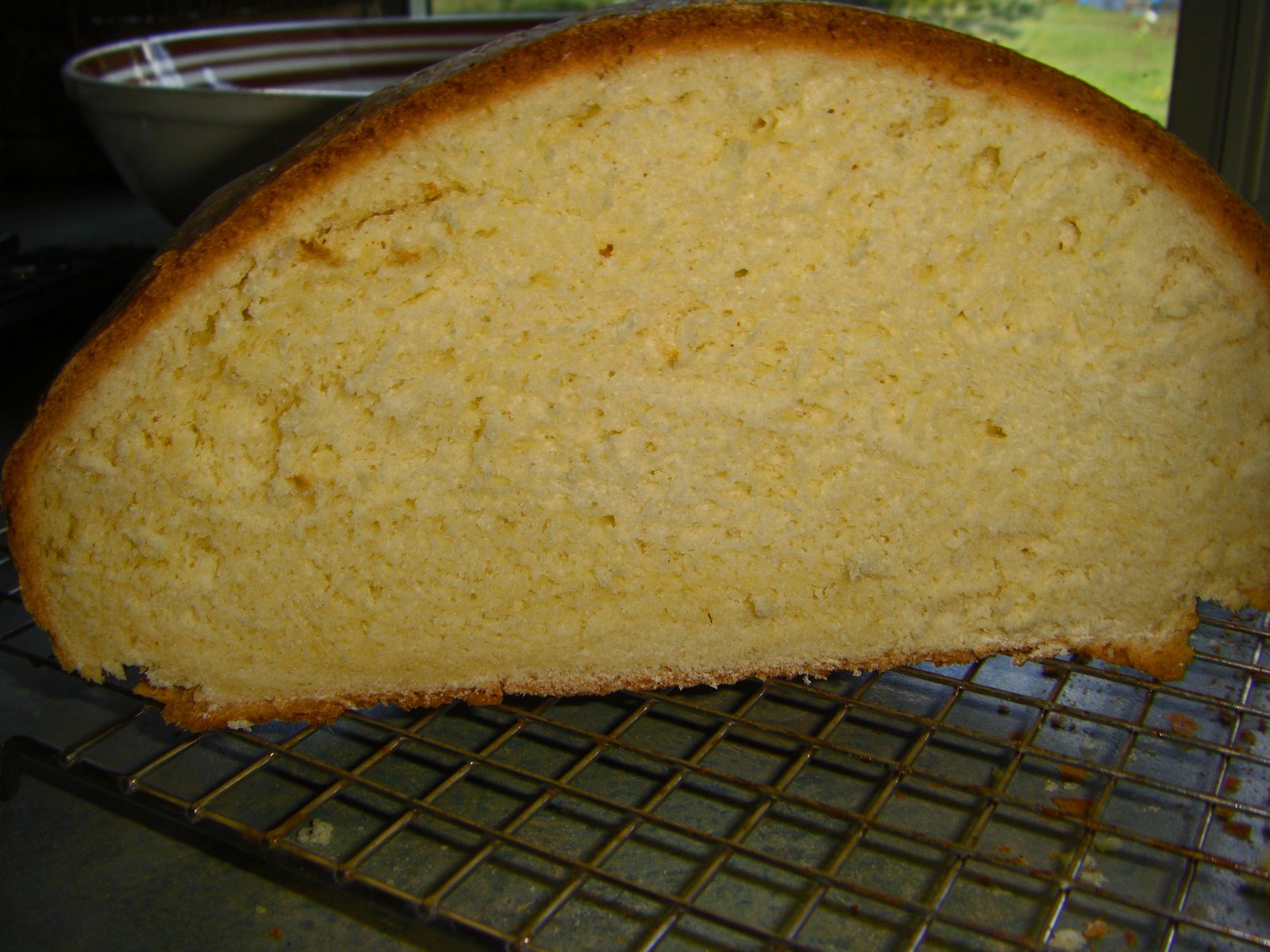 [CIMG3024_edited-1.jpg]