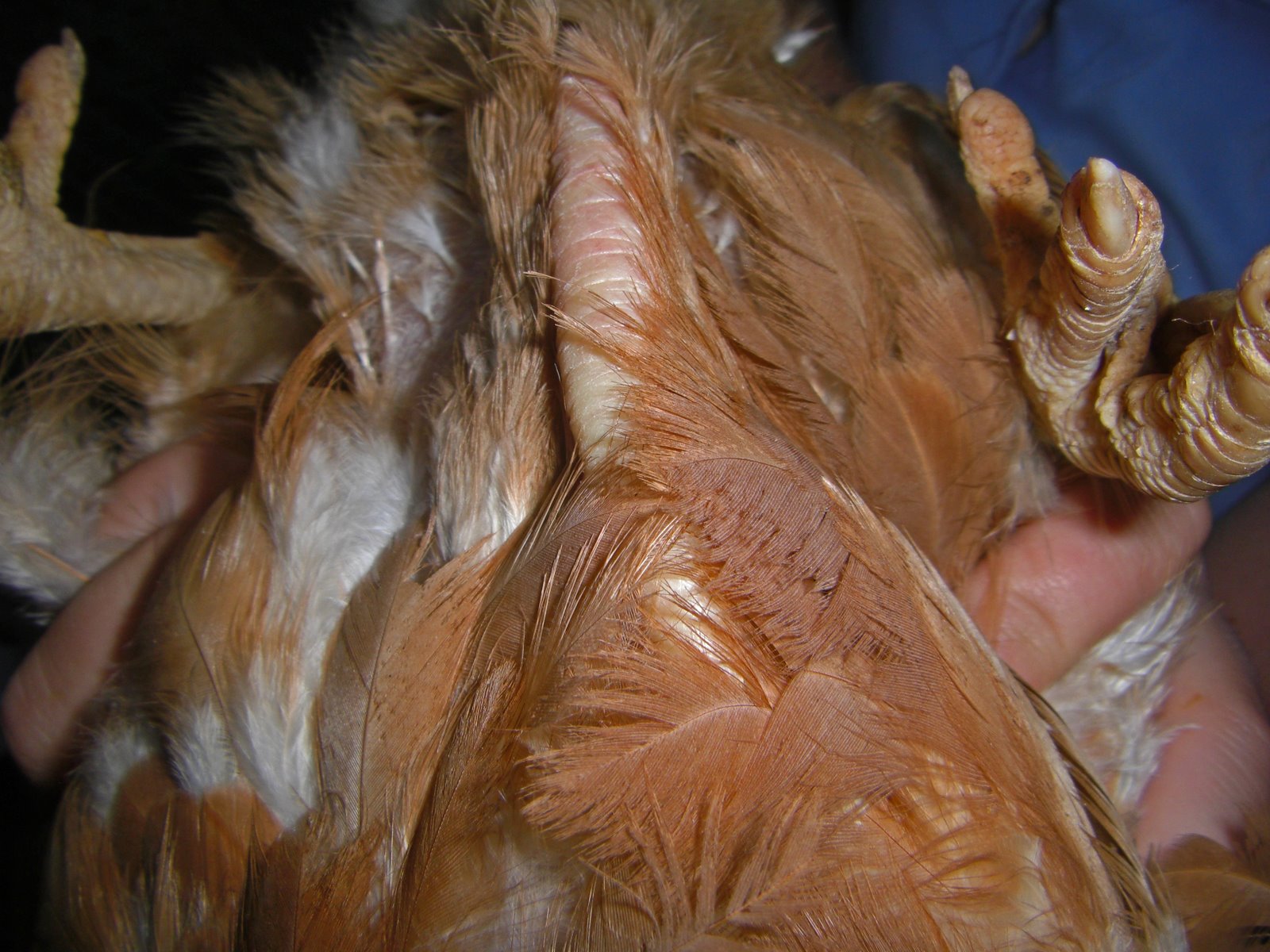 [CIMG4937_edited-1.jpg]