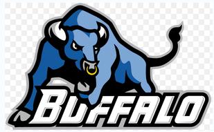 Buffalo Bulls Logo