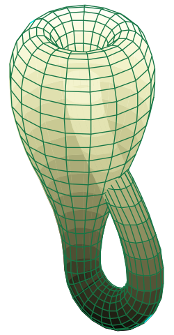 [250px-Klein_bottle.svg.png]