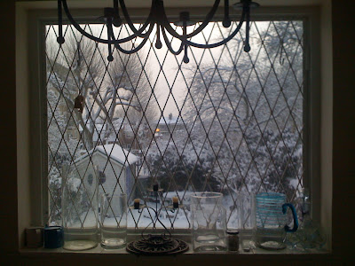 The snowy view from my dining room