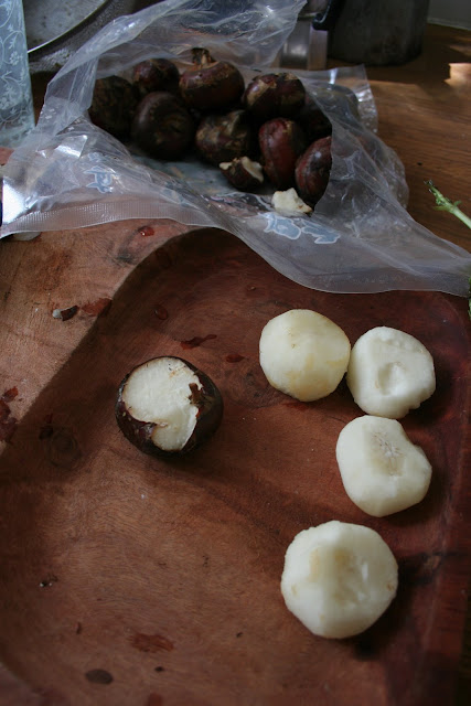 Peeling the water chestnuts. Fresh, they taste like coconut