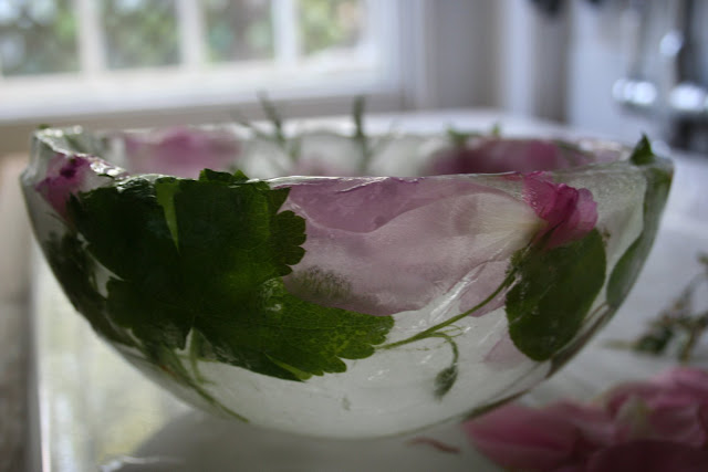 rose flower ice bowl