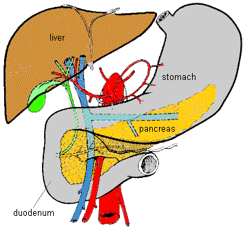 enfermedades del hombre pancreatitis