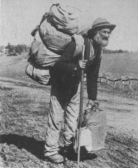 swagman impakt